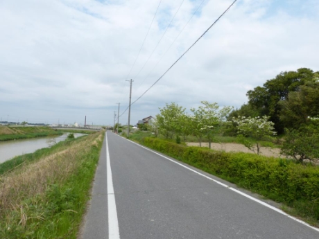 画像33